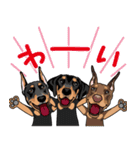 doberman@SURFBORDER（個別スタンプ：23）