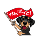 doberman@SURFBORDER（個別スタンプ：24）