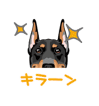 doberman@SURFBORDER（個別スタンプ：27）