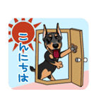 doberman@SURFBORDER（個別スタンプ：30）