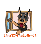 doberman@SURFBORDER（個別スタンプ：32）