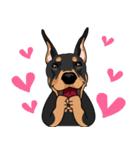 doberman@SURFBORDER（個別スタンプ：35）