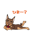 doberman@SURFBORDER（個別スタンプ：36）