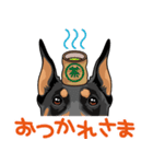 doberman@SURFBORDER（個別スタンプ：38）