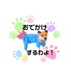 熟女犬 ゼン（個別スタンプ：13）