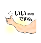 腕筋 スタンプ（個別スタンプ：1）