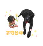 黒ラブ ジャック（個別スタンプ：8）