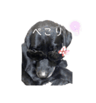 黒ラブ ジャック（個別スタンプ：22）