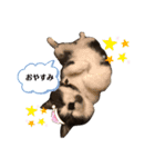 くるみの気持ち②（個別スタンプ：4）