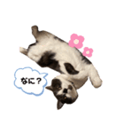 くるみの気持ち②（個別スタンプ：8）