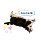 くるみの気持ち②（個別スタンプ：12）