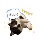くるみの気持ち②（個別スタンプ：13）