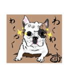 こまいぬ見習い！！フレブル『こげお』（個別スタンプ：3）
