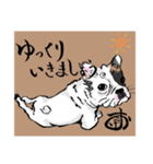 こまいぬ見習い！！フレブル『こげお』（個別スタンプ：8）