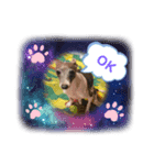 アムスタNO・1（個別スタンプ：4）