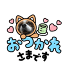 キャバリアぎんときスタンプ4（個別スタンプ：4）