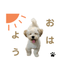 くーの助（個別スタンプ：3）