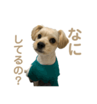 くーの助（個別スタンプ：5）