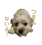 くーの助（個別スタンプ：7）