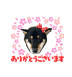otsukaginkun（個別スタンプ：10）