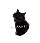 黒猫cocoさん①（個別スタンプ：4）
