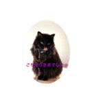 黒猫cocoさん①（個別スタンプ：6）