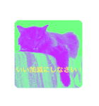 黒猫cocoさん①（個別スタンプ：10）