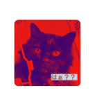 黒猫cocoさん①（個別スタンプ：12）