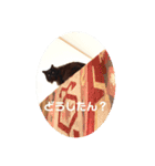 黒猫cocoさん①（個別スタンプ：13）