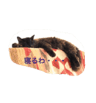 黒猫cocoさん①（個別スタンプ：16）