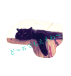 黒猫cocoさん①（個別スタンプ：17）
