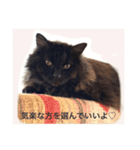 黒猫cocoさん①（個別スタンプ：18）