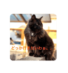 黒猫cocoさん①（個別スタンプ：23）