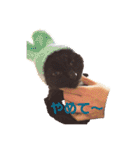 黒猫cocoさん①（個別スタンプ：24）