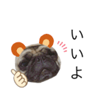 犬と猫って癒しだよね（個別スタンプ：5）