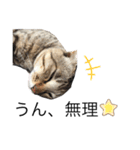 犬と猫って癒しだよね（個別スタンプ：7）