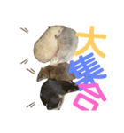 ファンシーラット大集合。（個別スタンプ：6）