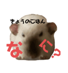 ファンシーラット大集合。（個別スタンプ：9）