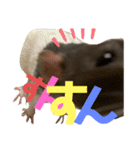 ファンシーラット大集合。（個別スタンプ：14）