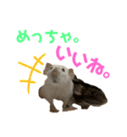 ファンシーラット大集合。（個別スタンプ：15）