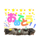 ファンシーラット大集合。（個別スタンプ：16）