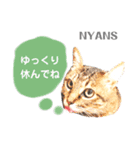 動物愛護団体NYANS③（個別スタンプ：2）
