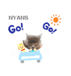 動物愛護団体NYANS③（個別スタンプ：4）