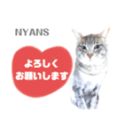 動物愛護団体NYANS③（個別スタンプ：7）