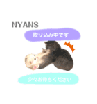 動物愛護団体NYANS③（個別スタンプ：8）