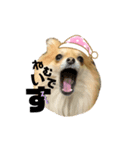可愛いカワイイこむぎちゃん（個別スタンプ：3）