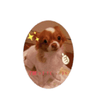 ももちゅけ。（個別スタンプ：1）
