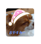 ももちゅけ。（個別スタンプ：5）