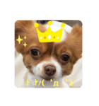 ももちゅけ。（個別スタンプ：6）