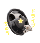 フェレット〜花鈴＆空の日常スタンプPart③（個別スタンプ：4）